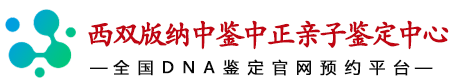 中鉴中正西双版纳亲子鉴定中心